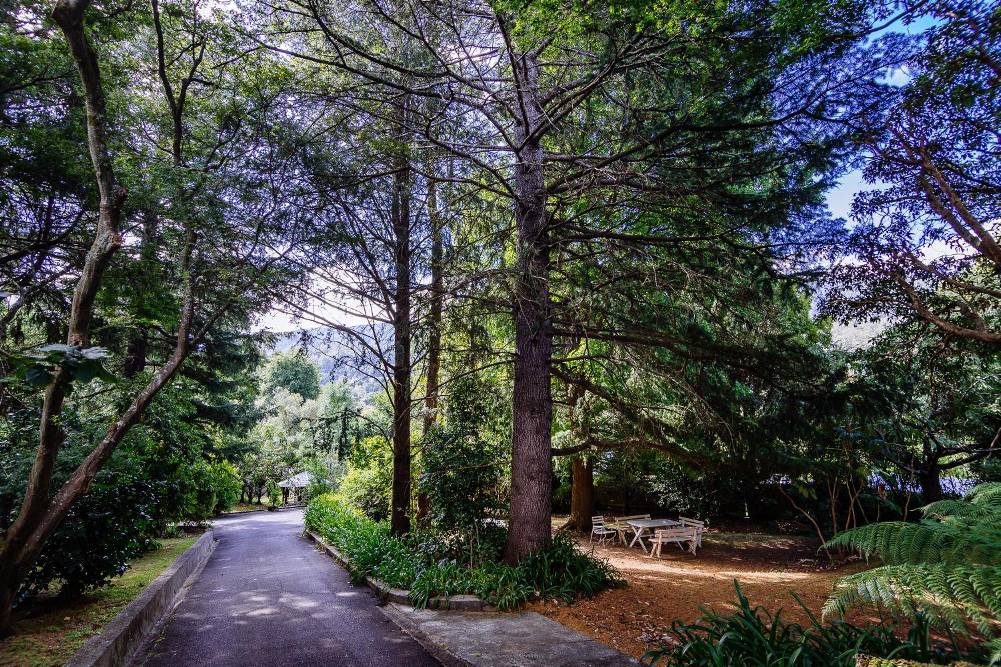Warburton Lodge エクステリア 写真